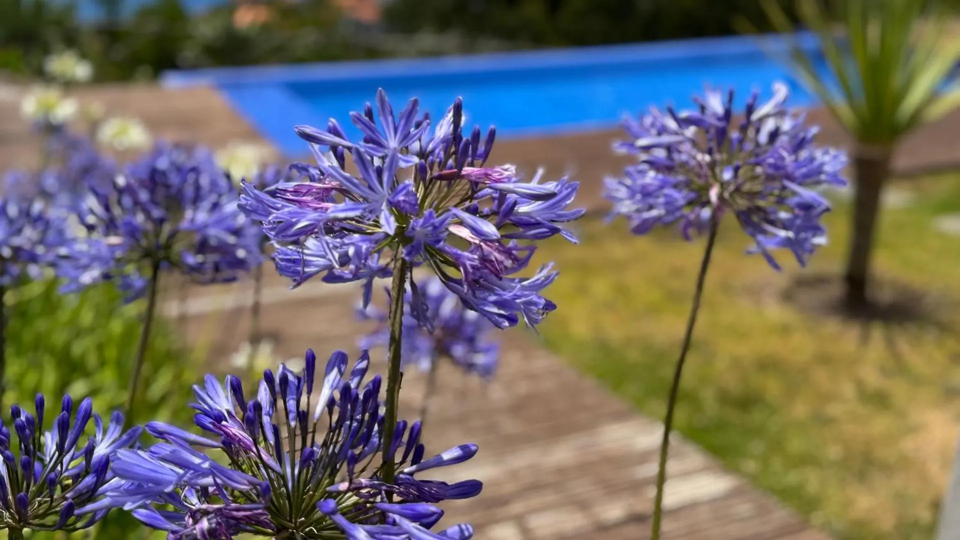 Vakantiehuis Modular Villa Calheta  Portugal